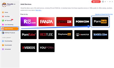 Bester Pornhub Downloader: Pornhub